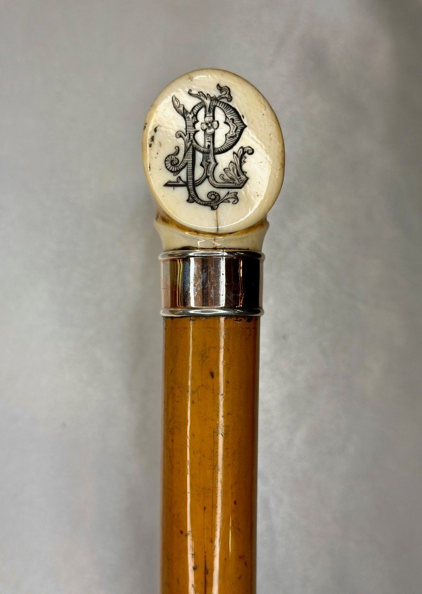 Silver Cane, Ivory And Reed - Stylized And Hallmarked - Louis-philippe Period, 19th Century