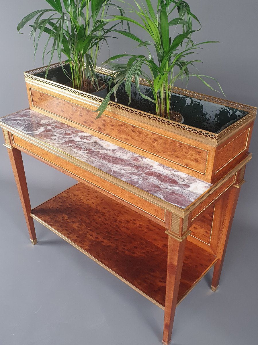 Ormolu Louis XVI Planter In Mahogany And Marble-photo-3