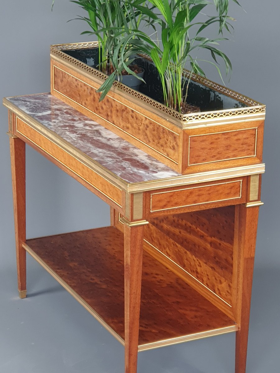 Ormolu Louis XVI Planter In Mahogany And Marble-photo-3