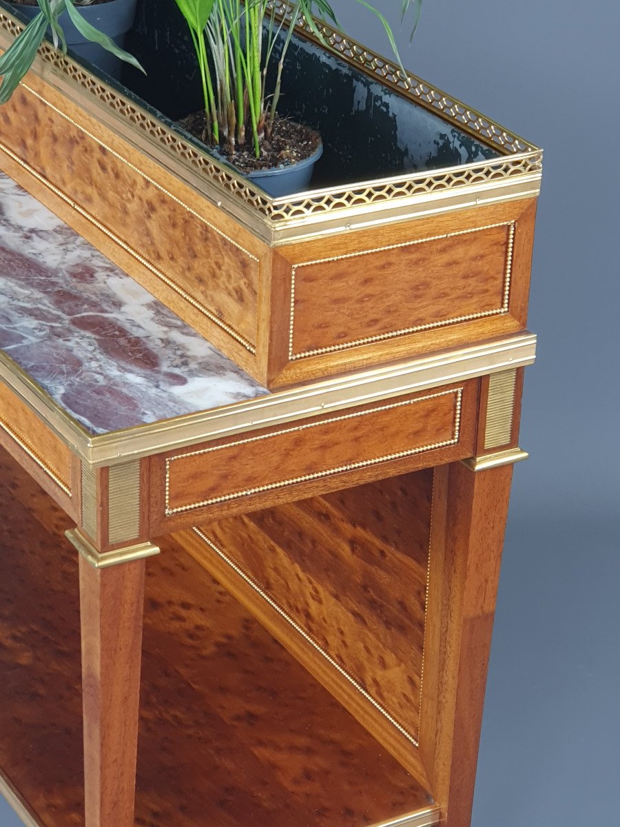 Ormolu Louis XVI Planter In Mahogany And Marble-photo-4