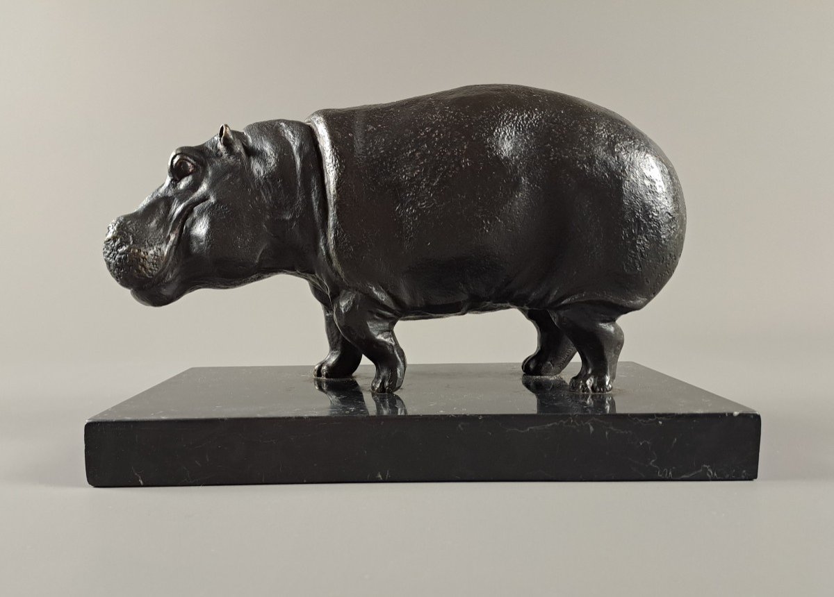 Bronze Hippopotamus Signed Dubanton