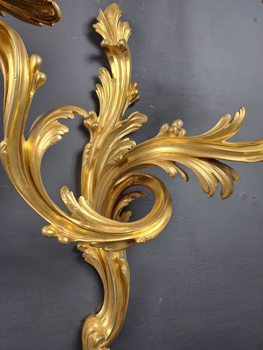 Pair Of Rocaille Wall Lights In Gilt Bronze-photo-5