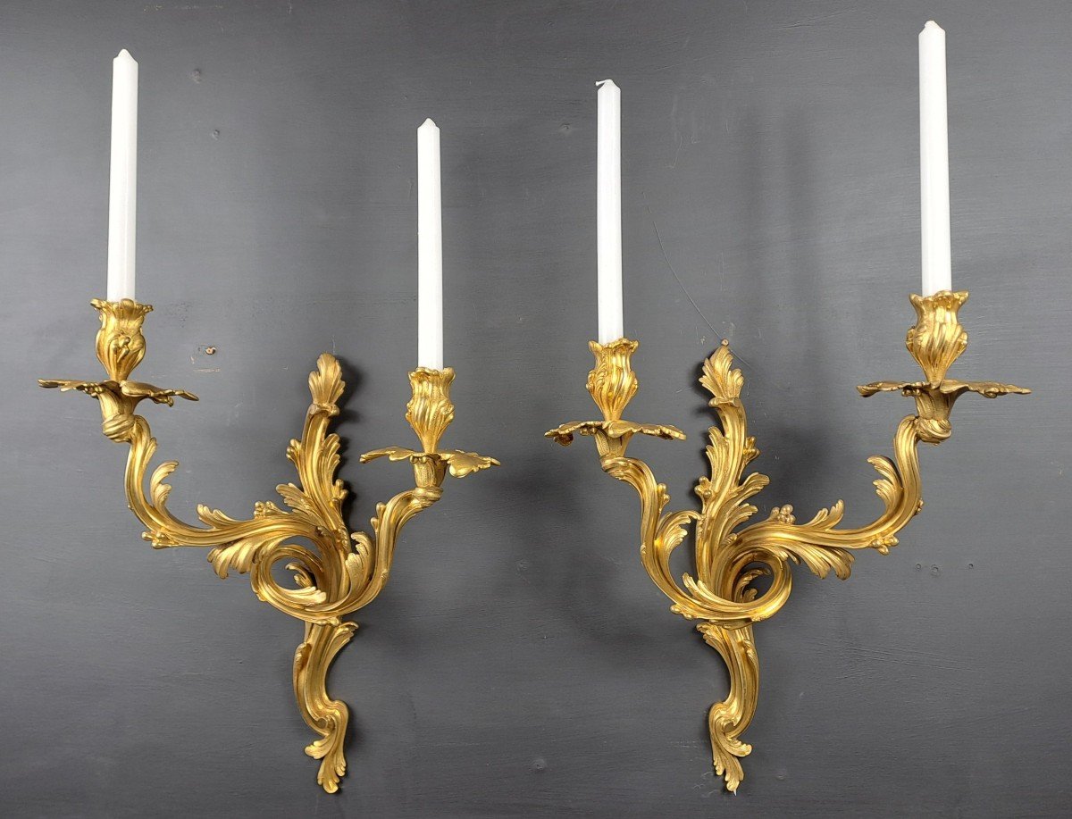 Pair Of Rocaille Wall Lights In Gilt Bronze