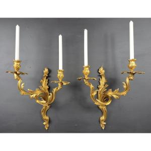 Pair Of Rocaille Wall Lights In Gilt Bronze