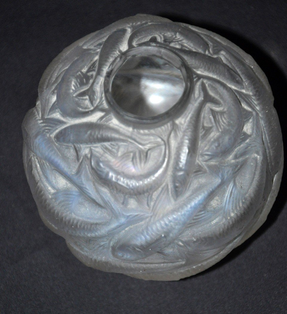 Soliflore Signed René Lalique In Molded Pressed Glass 20th Century-photo-4