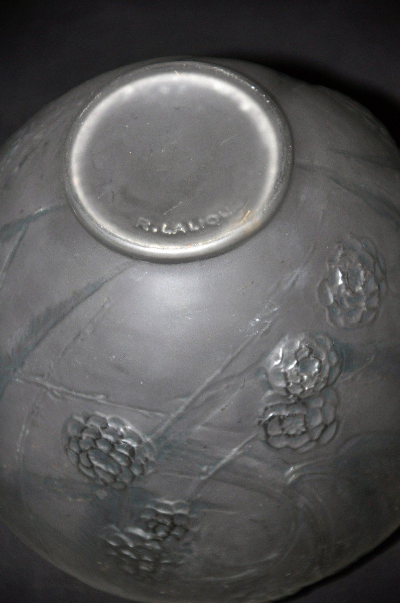 Vase En Verre René Lalique Hortensia Début Du 20ᵉ Siècle-photo-3