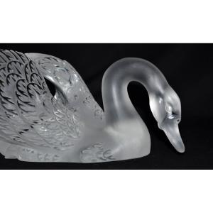 Glass Swan Signed Lalique Circa 1980