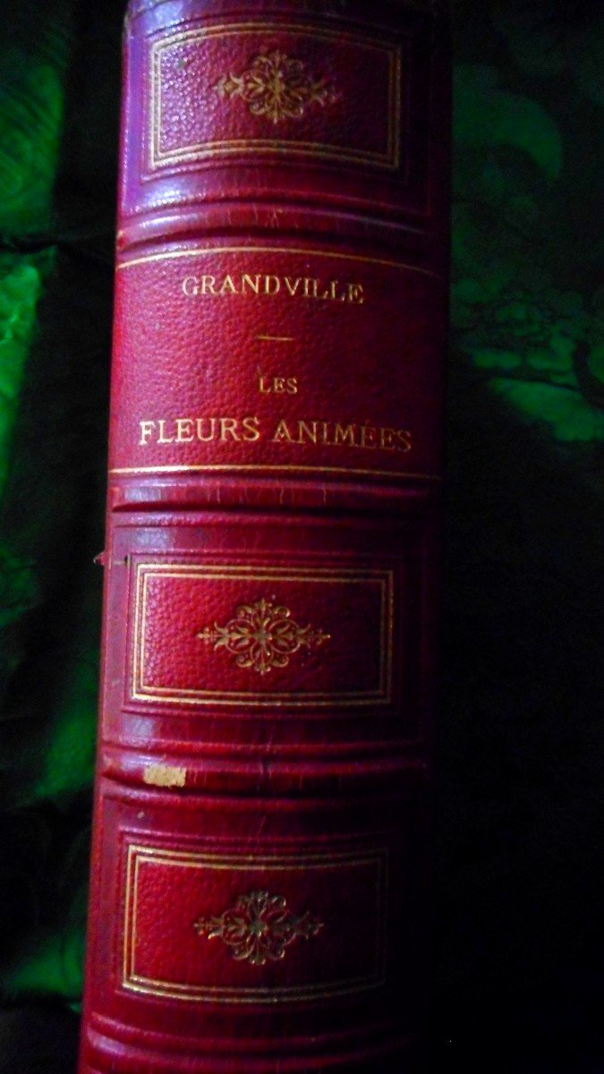 Flowers Animated By Grandville (1867)-photo-4