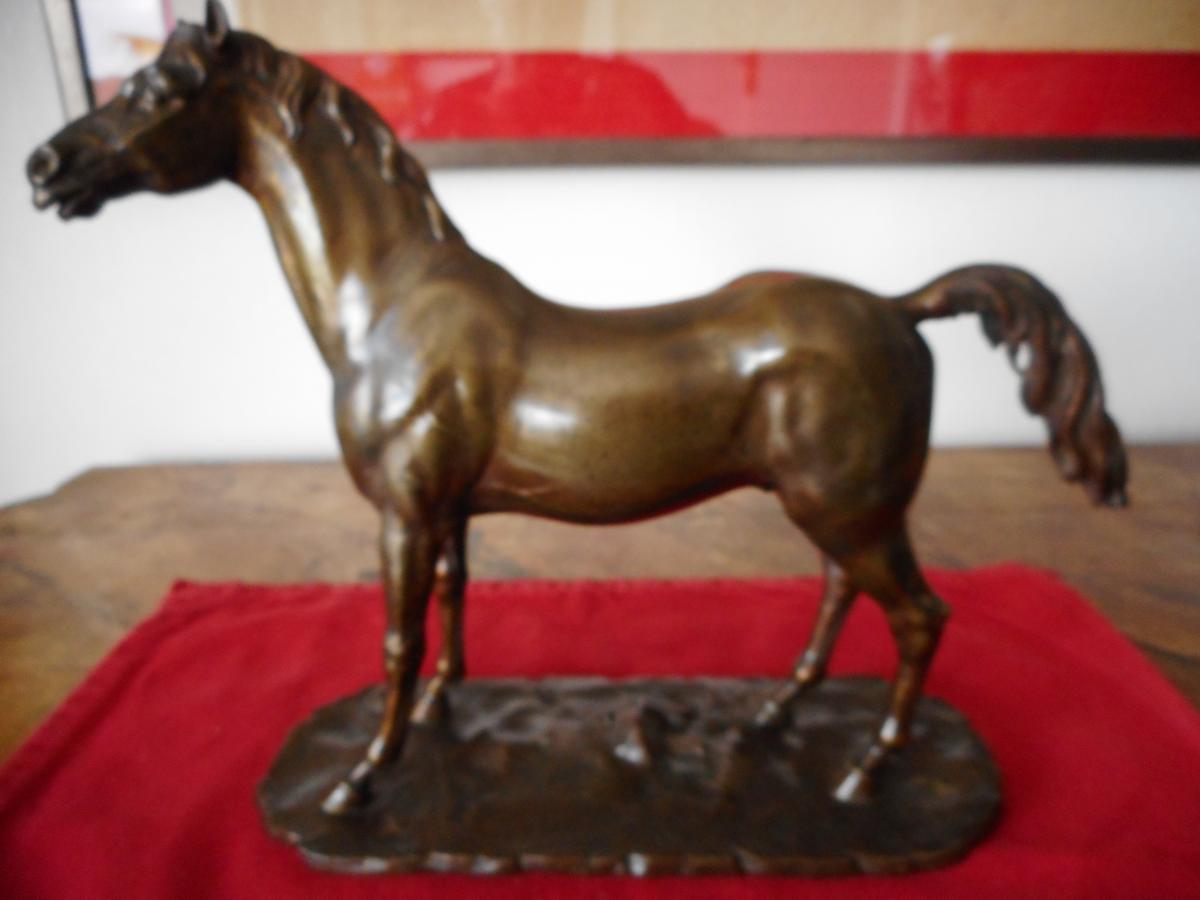 Cheval Bronze 19eme