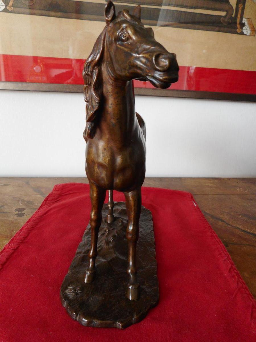 Cheval Bronze 19eme-photo-2