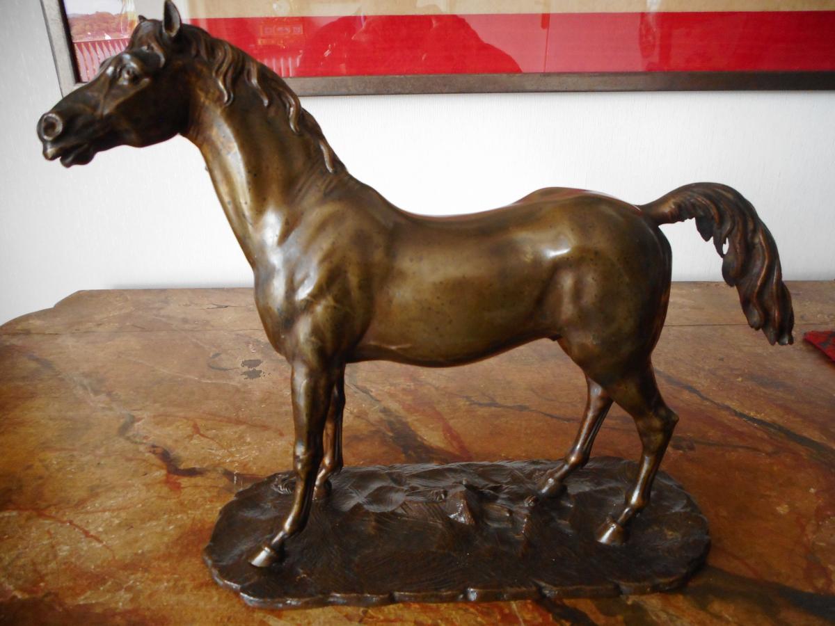 Cheval Bronze 19eme-photo-3