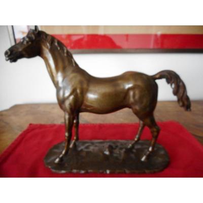 Bronze Horse 19th