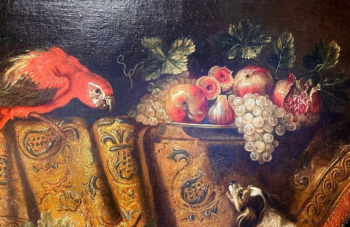 Nature Morte aux fruits, épagneuls et ara par Reynaud Levieux (Nîmes1613 - Rome1699)-photo-3