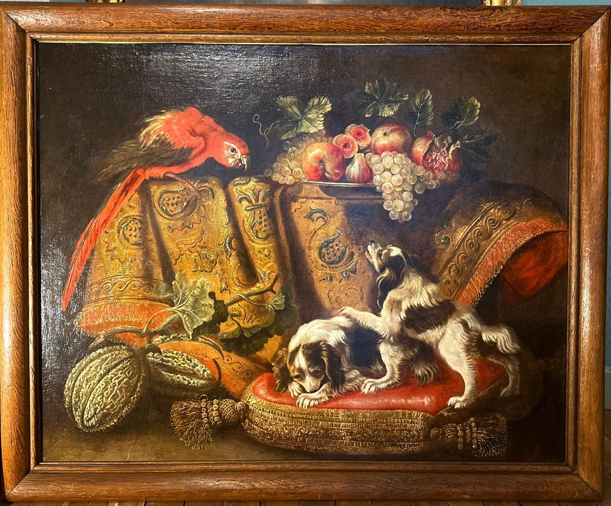 Nature Morte aux fruits, épagneuls et ara par Reynaud Levieux (Nîmes1613 - Rome1699)