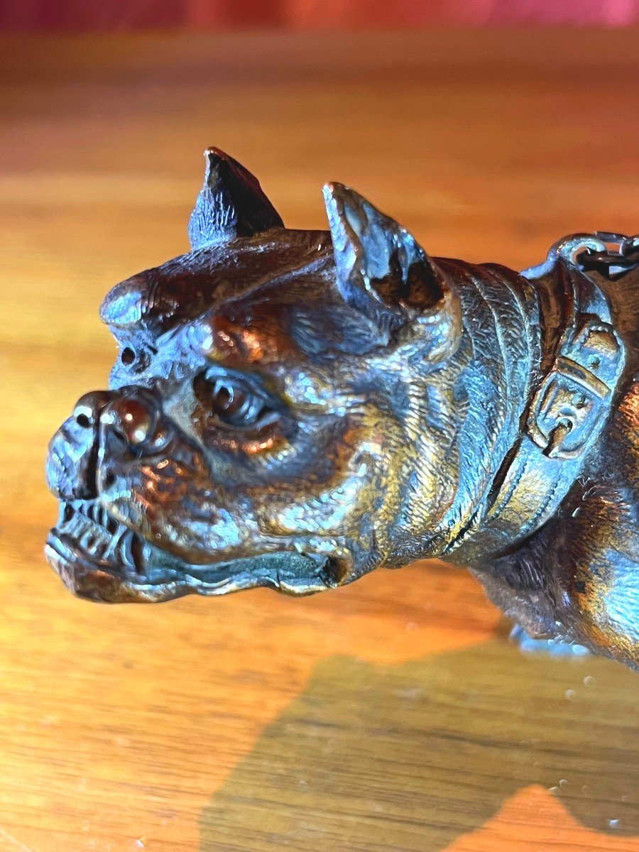 Animal Sculpture Of A Bulldog In Action, Bronze With Brown Patina, 19th Century-photo-3