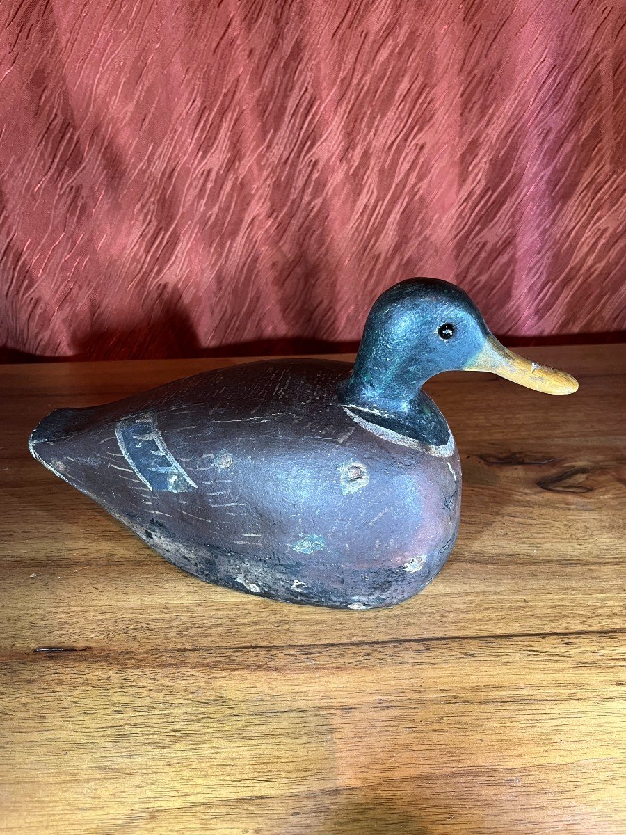  Canard,appelant De Chasse ,forme,leurre,blette-photo-2