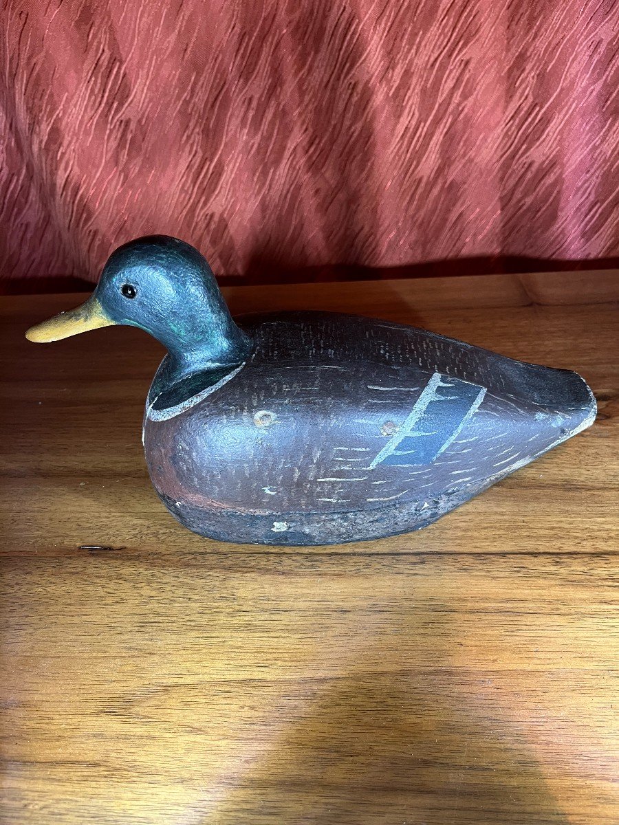  Canard,appelant De Chasse ,forme,leurre,blette-photo-3