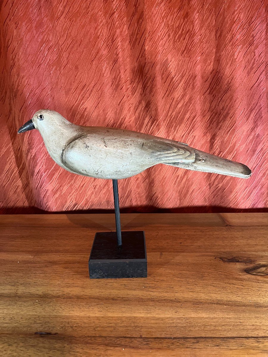 Wood Pigeon, Wood Pigeon, Hunting Decoys, Shapes, Lures, Chard-photo-2