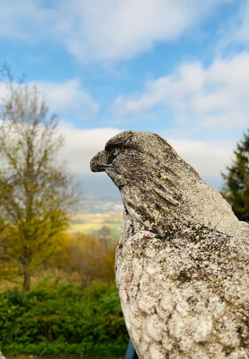 Pair Of Stone Eagles-photo-1