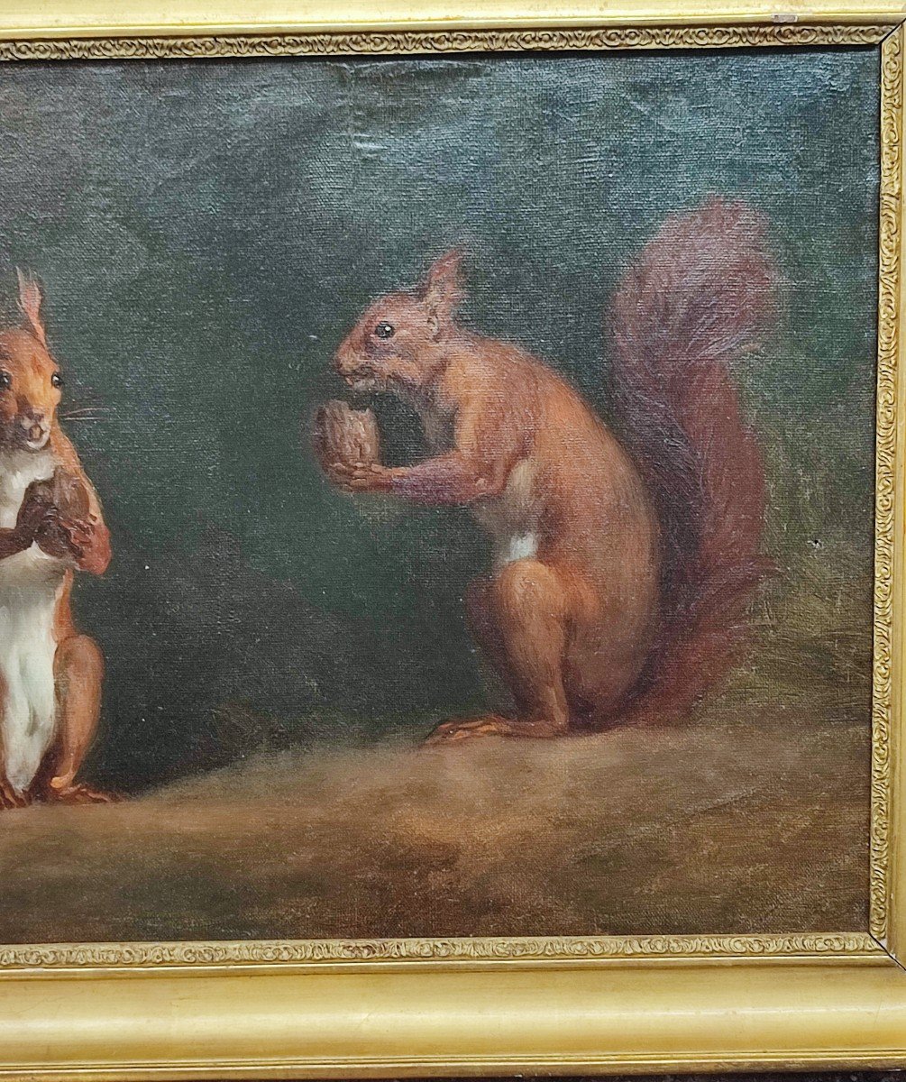 Study Of Squirrels. Oil On Canvas Circa 1840-photo-3