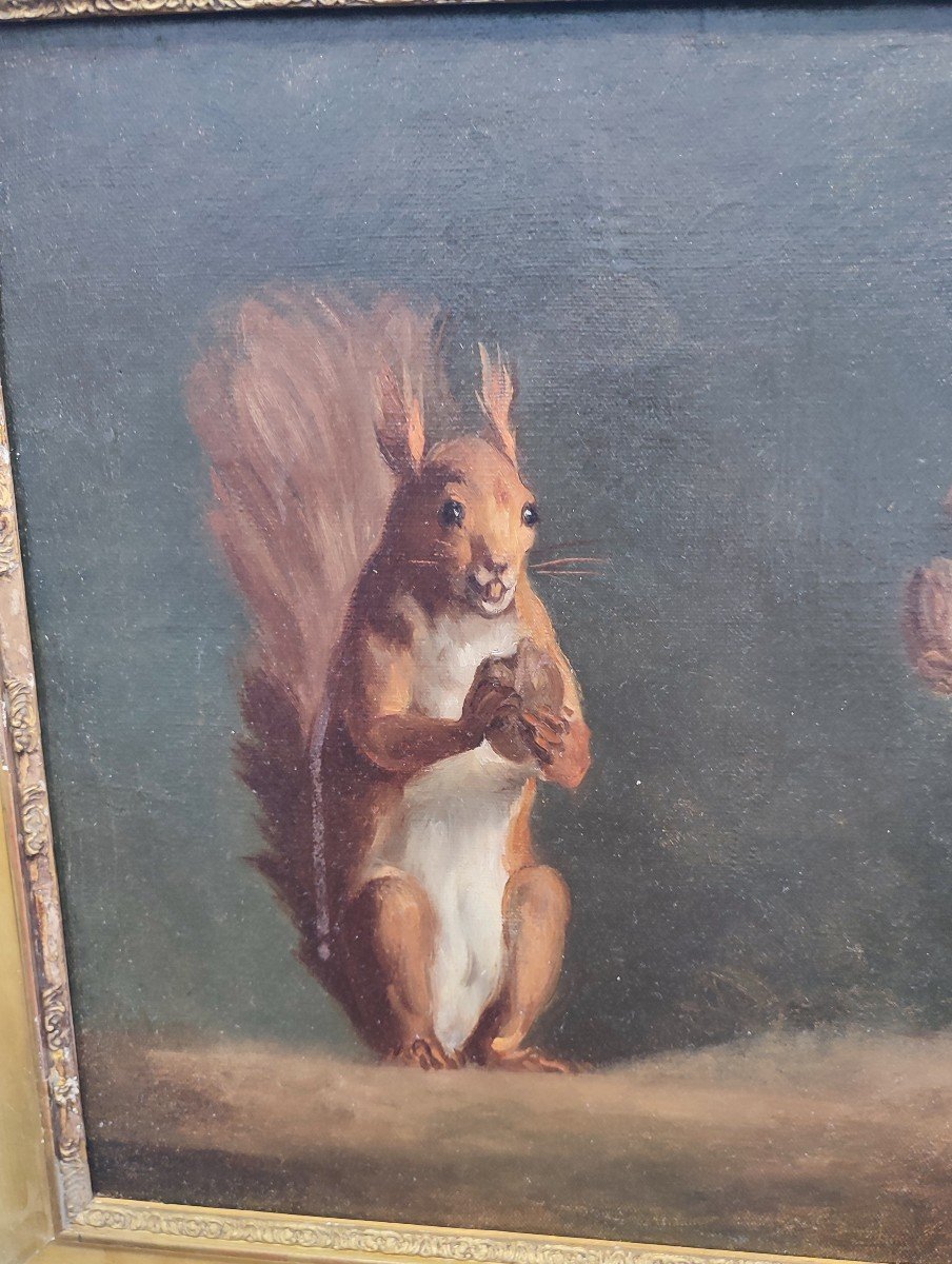 Study Of Squirrels. Oil On Canvas Circa 1840-photo-1