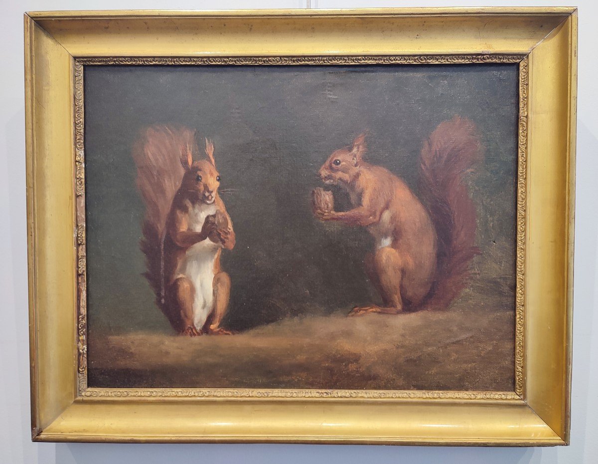 Study Of Squirrels. Oil On Canvas Circa 1840