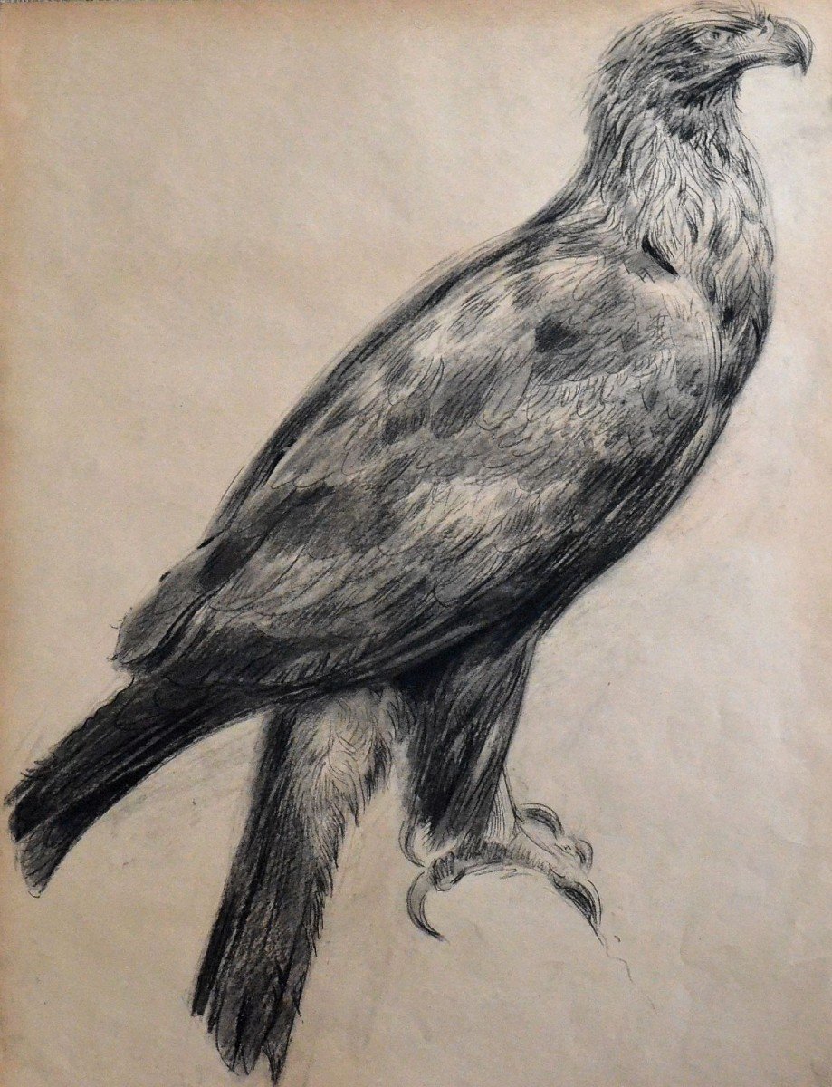 « Aigle » Gustave Guétant (1873-1953)