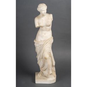 Marble Sculpture After The Venus De Milo