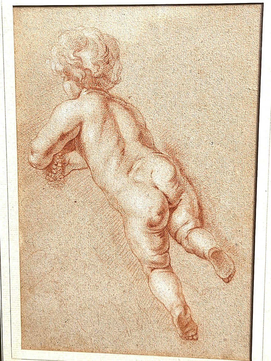 Naked Child From Back, Sanguine, French School XVIII-xix