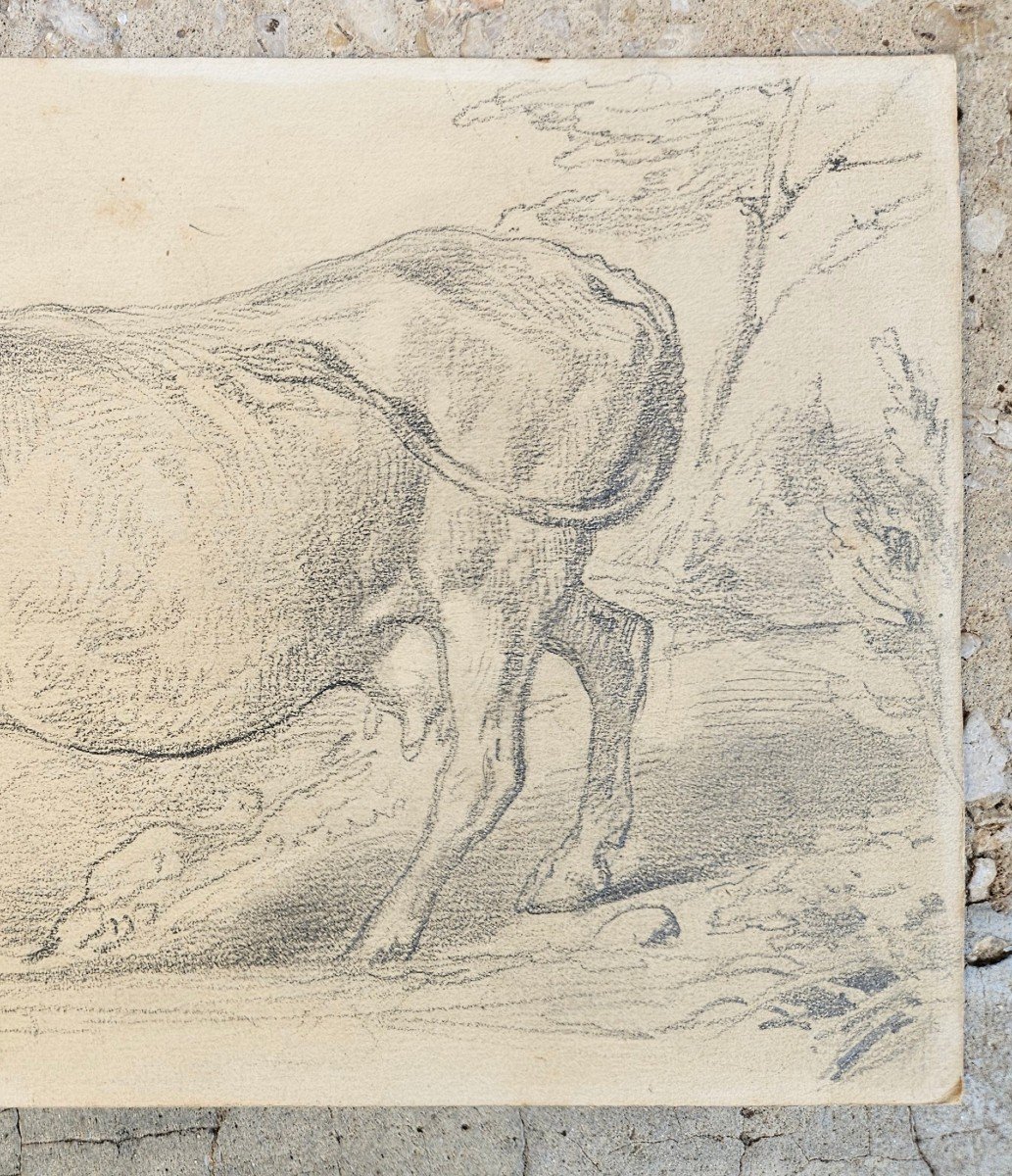 Dessin Original d'Eugène Deveria 1805-1865-photo-3