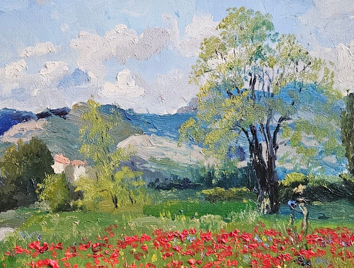 Coquelicots Par Waldemaro Costanzo Figlinesi-photo-2