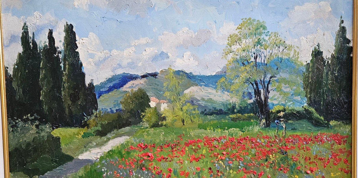 Coquelicots Par Waldemaro Costanzo Figlinesi-photo-5