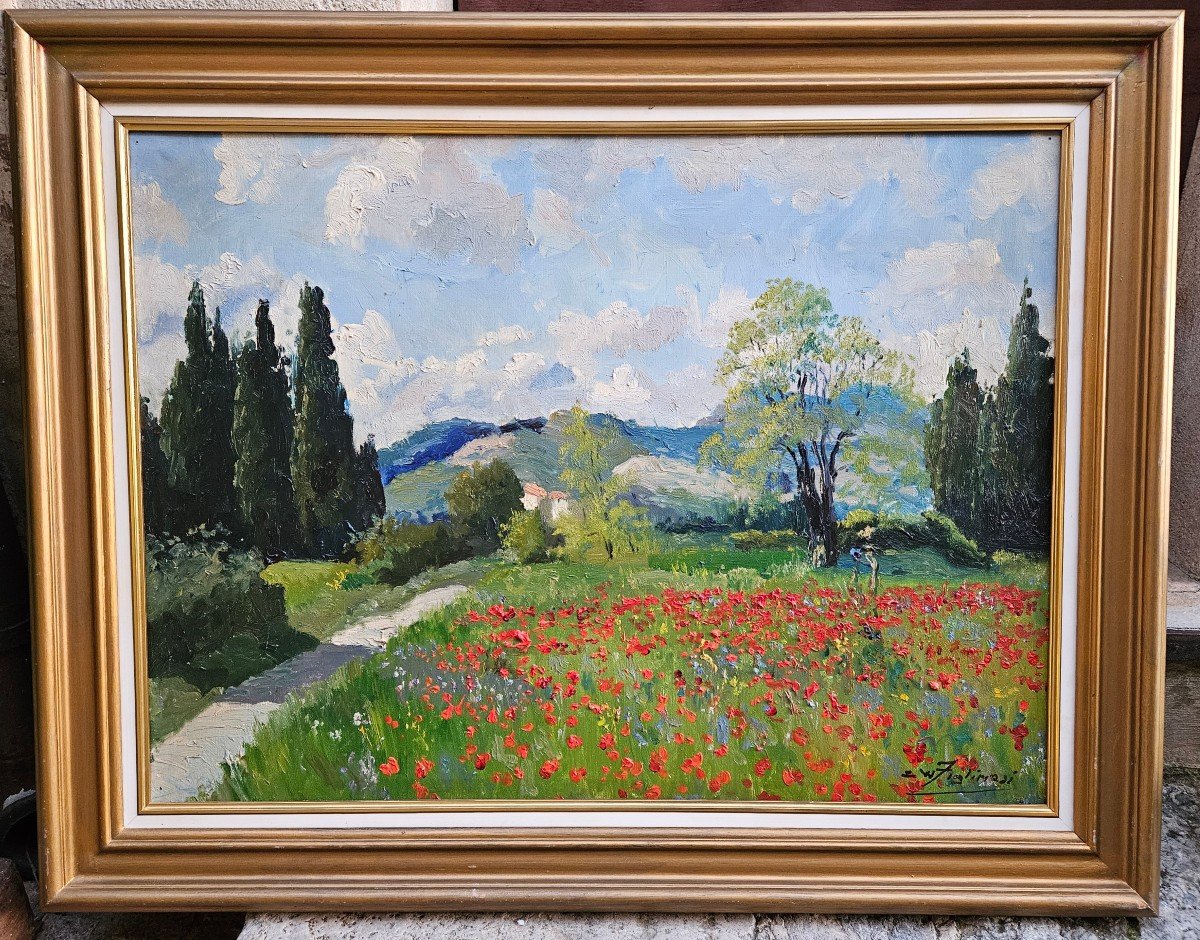 Coquelicots Par Waldemaro Costanzo Figlinesi