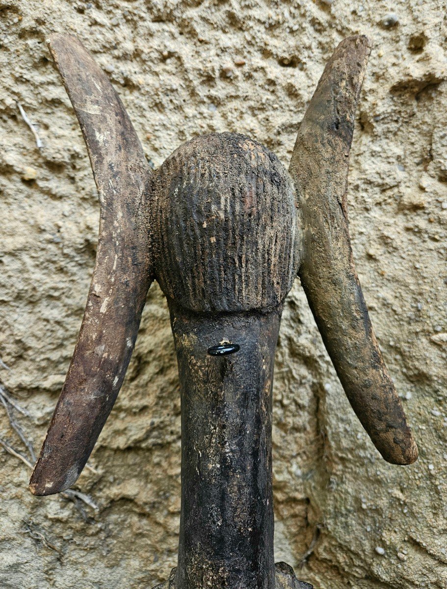 Baoulé Dance Mask From Ivory Coast-photo-4