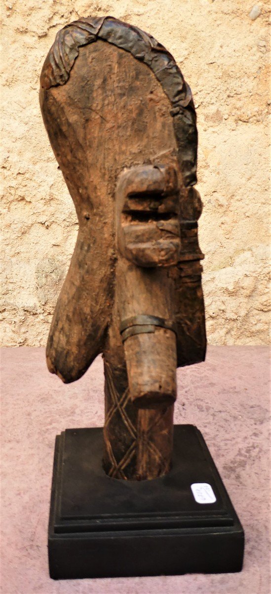 Sangu Reliquary Head, Kota From Gabon-photo-4