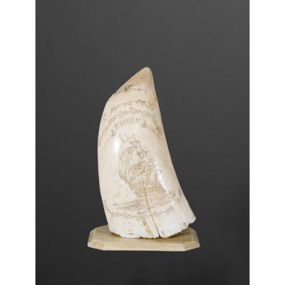 Scrimshaw - Dessin Sur Dent De Cachalot