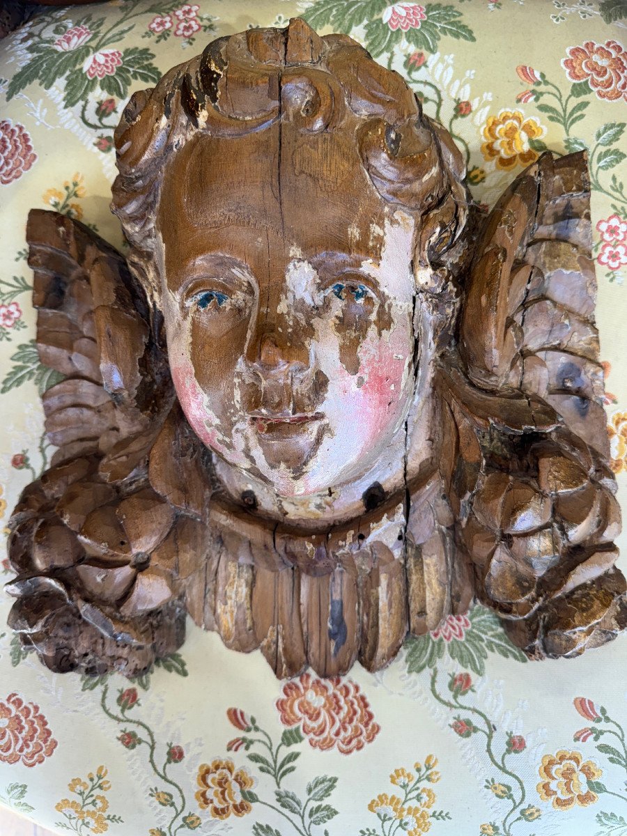 Cherub Head In Carved Wood 18 Eme Century