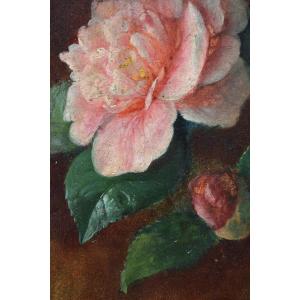 André Perrachon, Une rose et un button de rose (vers 1880)