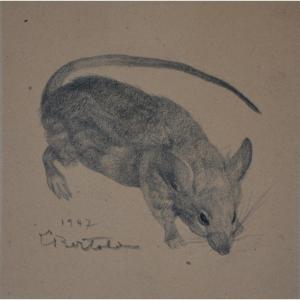 Louis BERTOLA (1891-1973), Le Rat (1947)