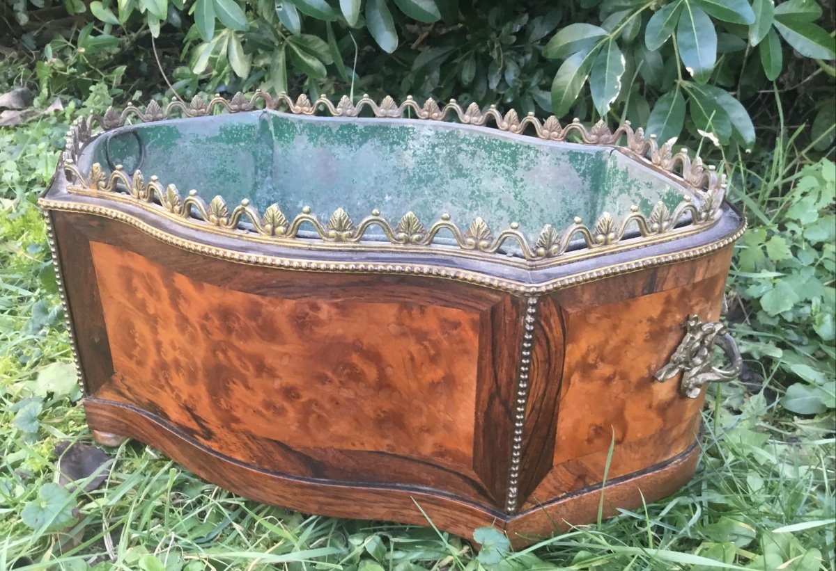 Napoleon III Period Planter In Bramble Veneer-photo-3