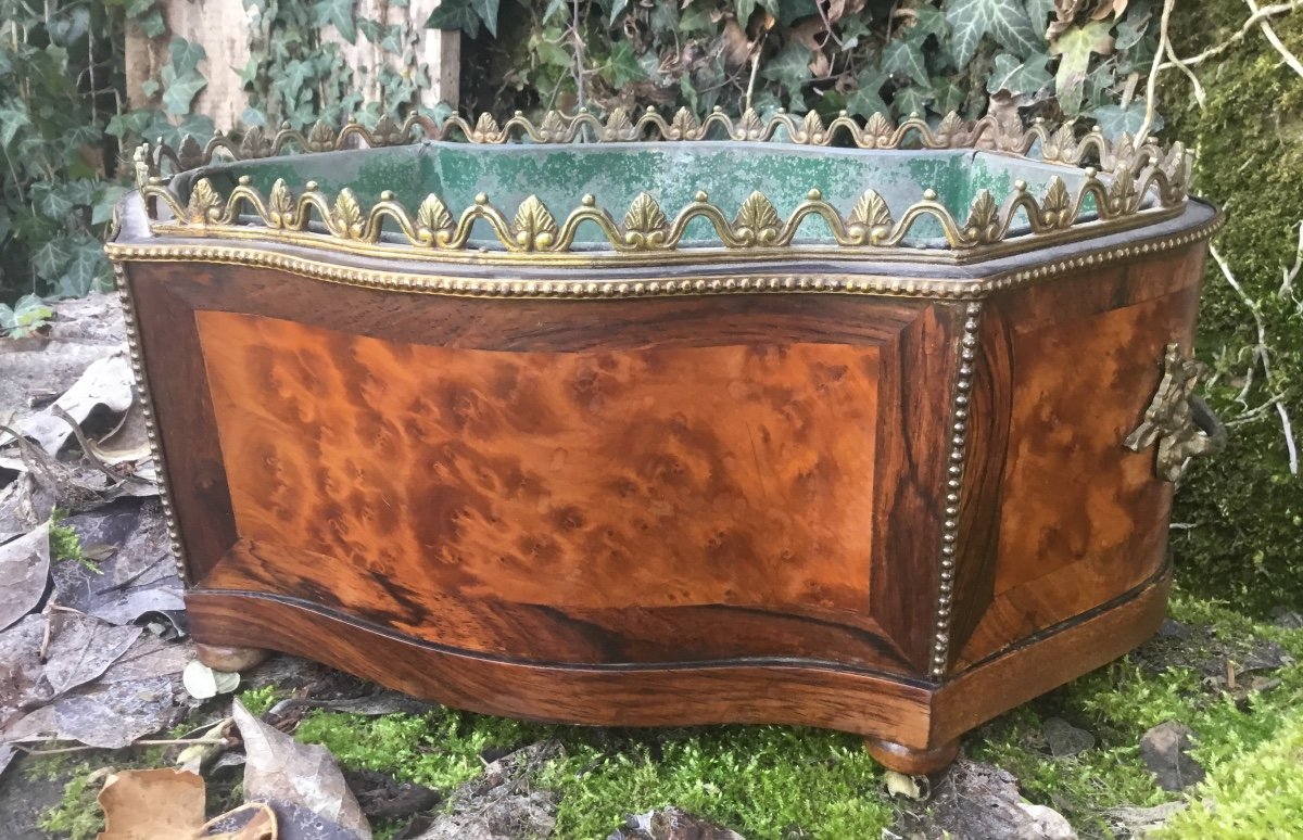 Napoleon III Period Planter In Bramble Veneer-photo-4