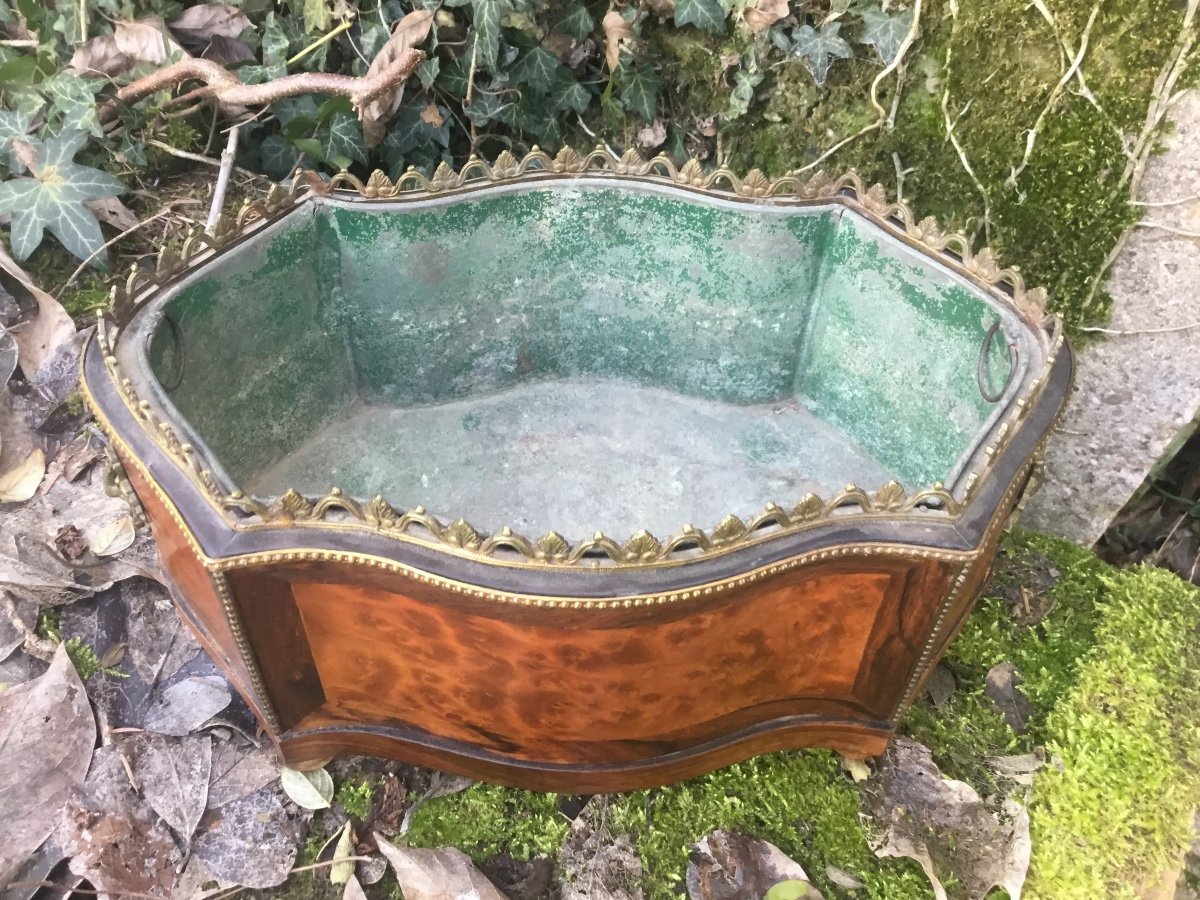 Napoleon III Period Planter In Bramble Veneer-photo-1