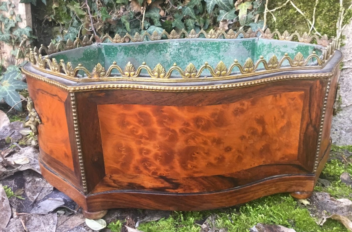 Napoleon III Period Planter In Bramble Veneer