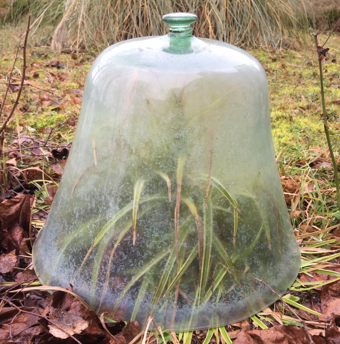 Grande Cloche De Jardinier En Verre Souflé -photo-4