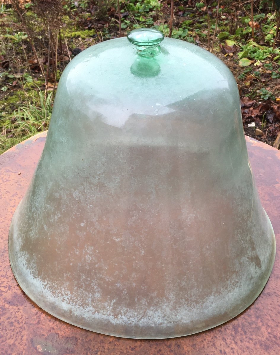 Grande Cloche De Jardinier En Verre Souflé 