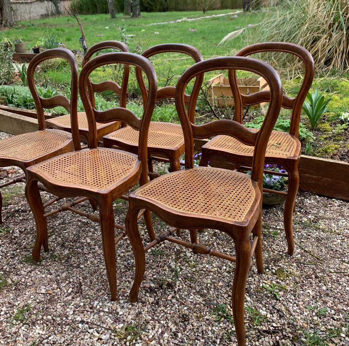 6 Cane Chairs, Louis Philippe Style, 19th Century-photo-3