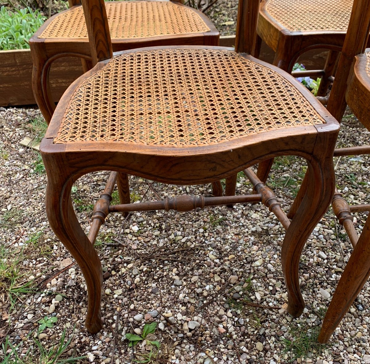 6 Cane Chairs, Louis Philippe Style, 19th Century-photo-2