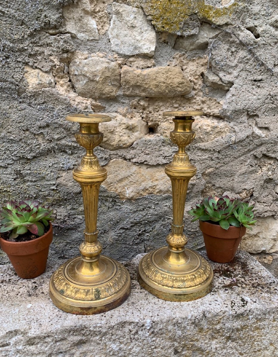 The Pair Of Candlesticks In Gilt Bronze -photo-5