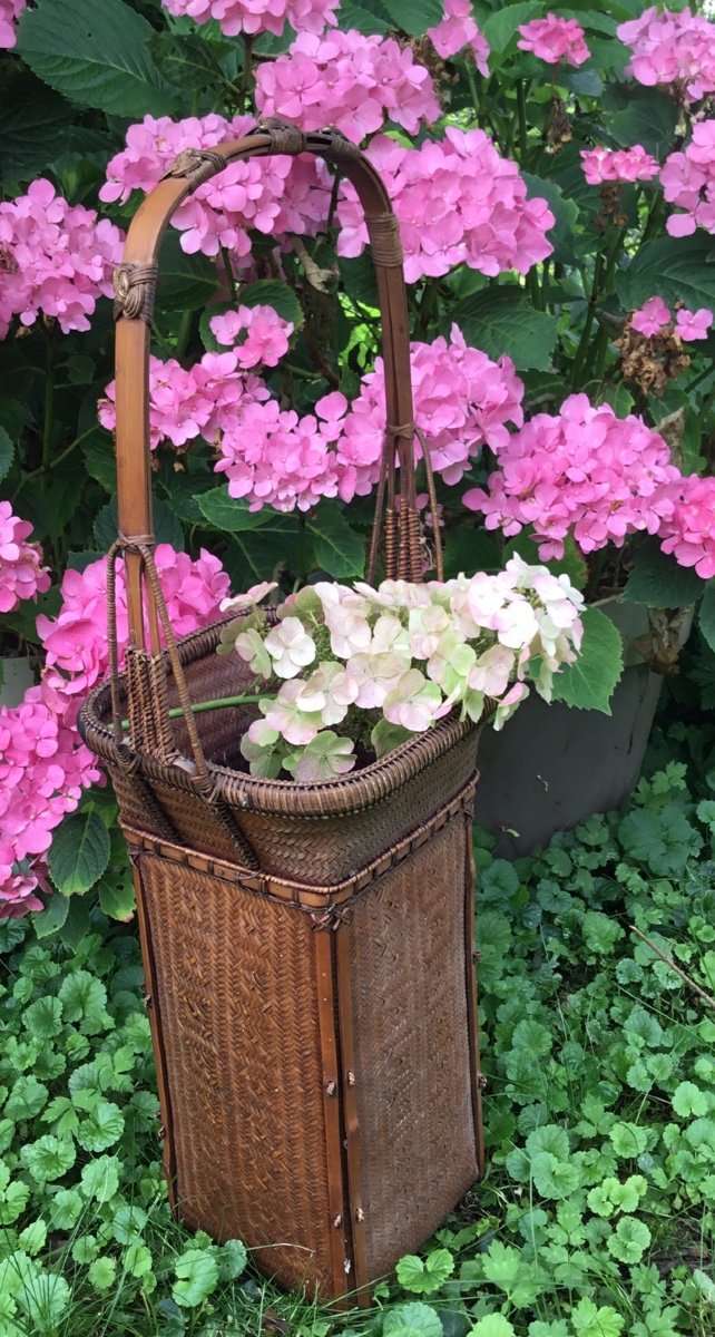 Panier à Ikebana En Osier Tressé, Japon-photo-1