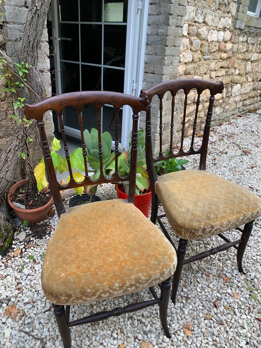 La Paire De Petites Chaises Anglaises En Palissandre -photo-2